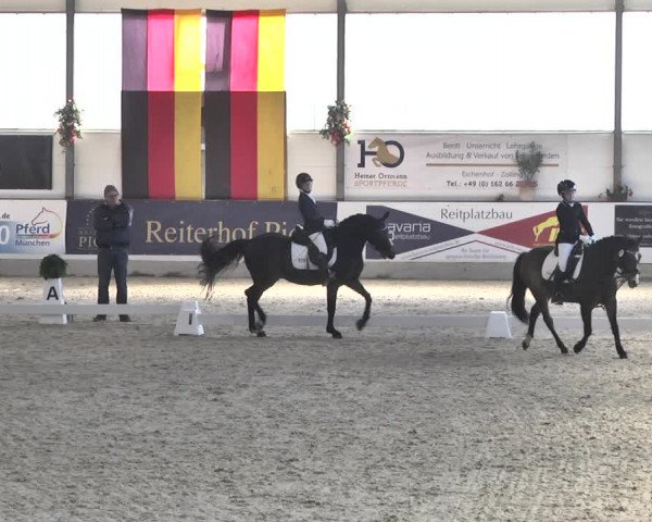 Reitturnier Karlsfeld/Obb. 2020