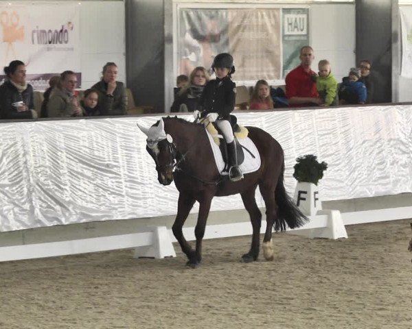 Reitturnier Karlsfeld/Obb. 2020
