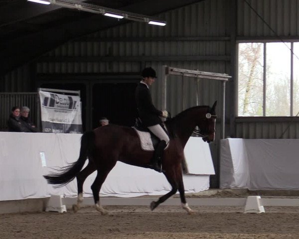 Reitturnier Greven 2020