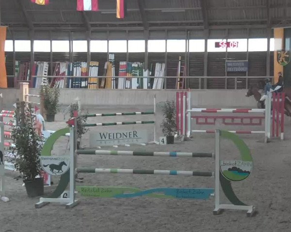 Reitturnier Heidelberg-Kirchheim 2020