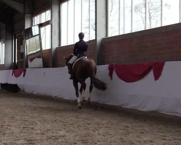 Reitturnier Greven 2020