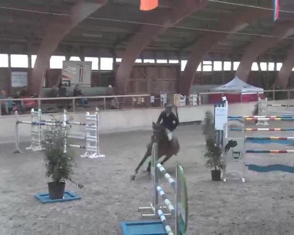 Reitturnier Heidelberg-Kirchheim 2020