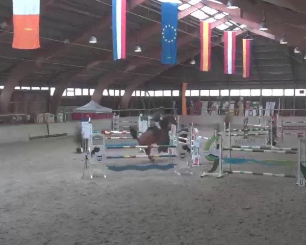 Reitturnier Heidelberg-Kirchheim 2020