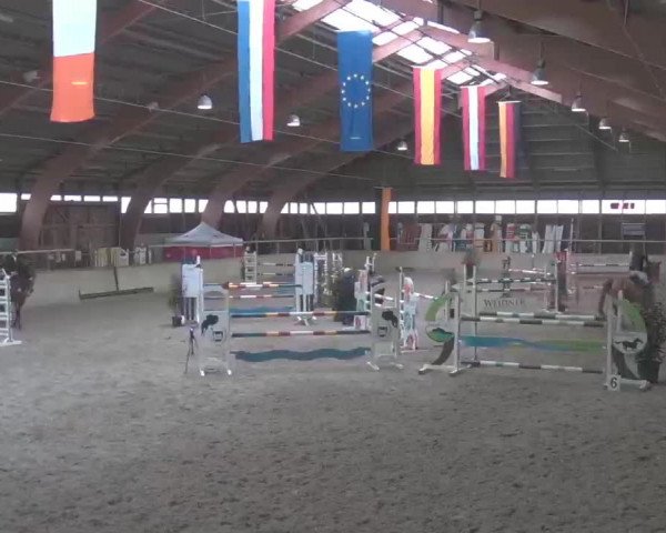 Reitturnier Heidelberg-Kirchheim 2020