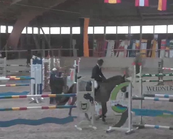 Reitturnier Heidelberg-Kirchheim 2020