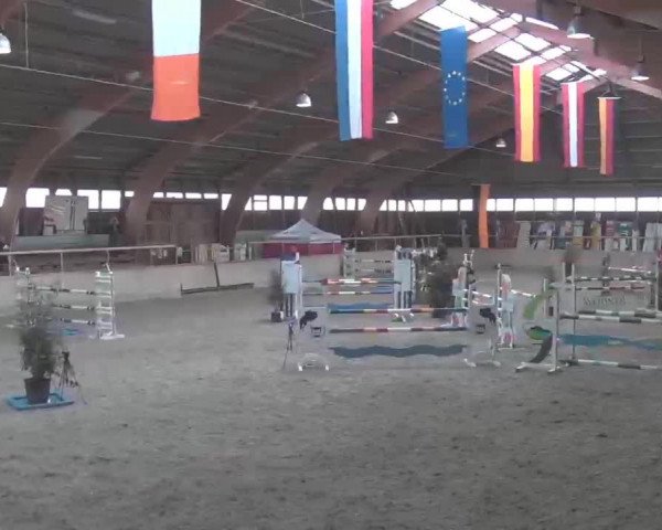 Reitturnier Heidelberg-Kirchheim 2020