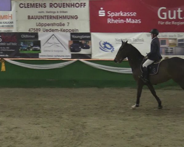 Reitturnier Keppeln - Reitanlage "Hötzenhof" 2020