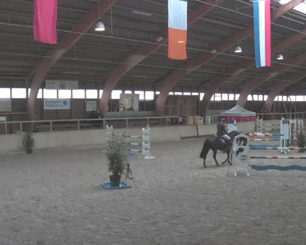 Reitturnier Heidelberg-Kirchheim 2020