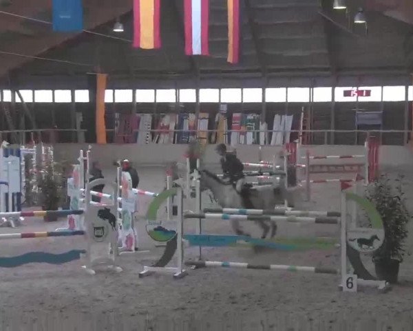 Reitturnier Heidelberg-Kirchheim 2020