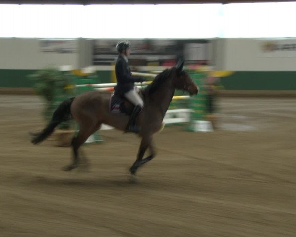 Reitturnier Warendorf-Freckenhorst 2020