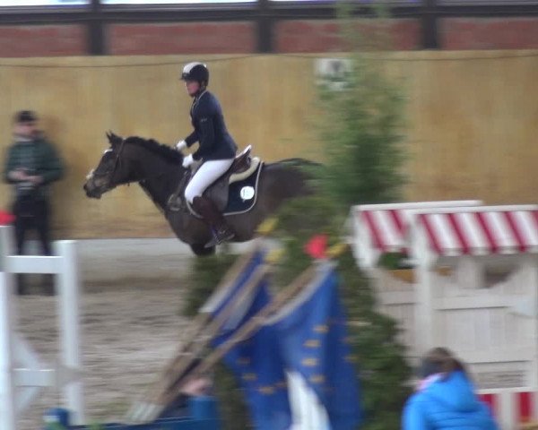 Reitturnier Monheim - Gut Blee 2020
