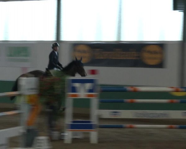 Reitturnier Warendorf-Freckenhorst 2020