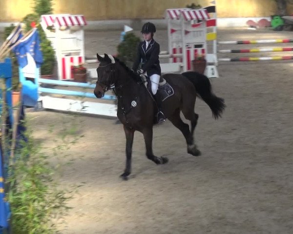 Reitturnier Monheim - Gut Blee 2020