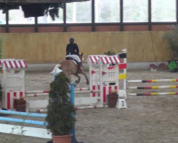 Reitturnier Monheim - Gut Blee 2020