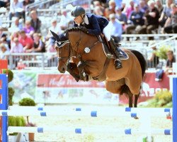 jumper Davinci 23 (Holsteiner, 2009, from Diarado)