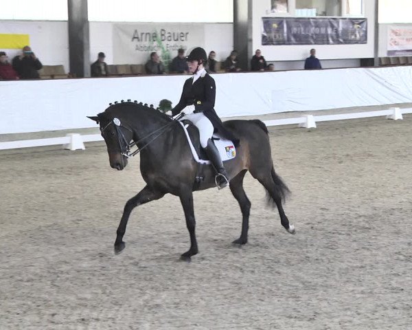 Reitturnier Karlsfeld/Obb. 2020