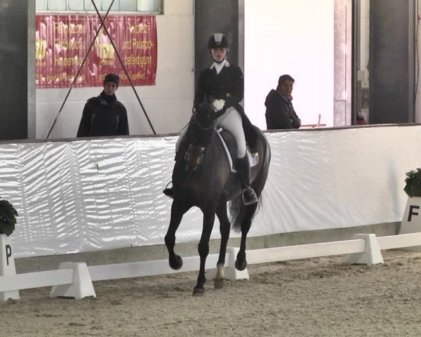 Reitturnier Karlsfeld/Obb. 2020