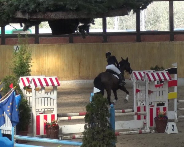 Reitturnier Monheim - Gut Blee 2020