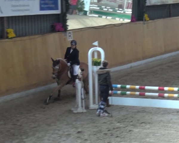 Reitturnier Monheim - Gut Blee 2020