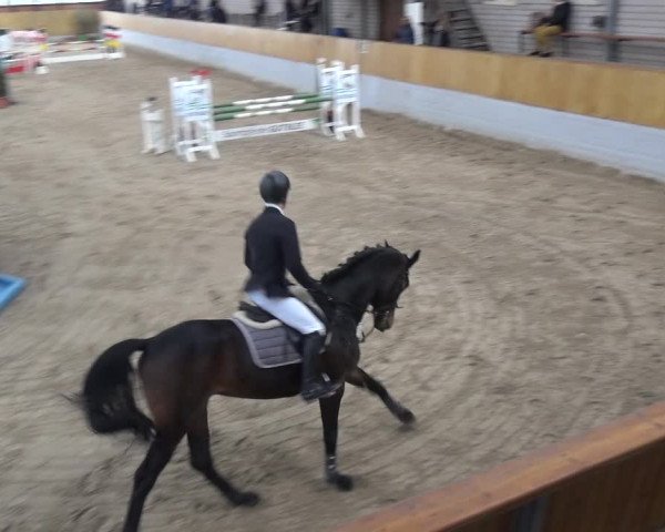 Reitturnier Monheim - Gut Blee 2020