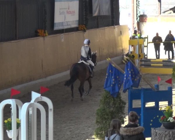 Reitturnier Monheim - Gut Blee 2020