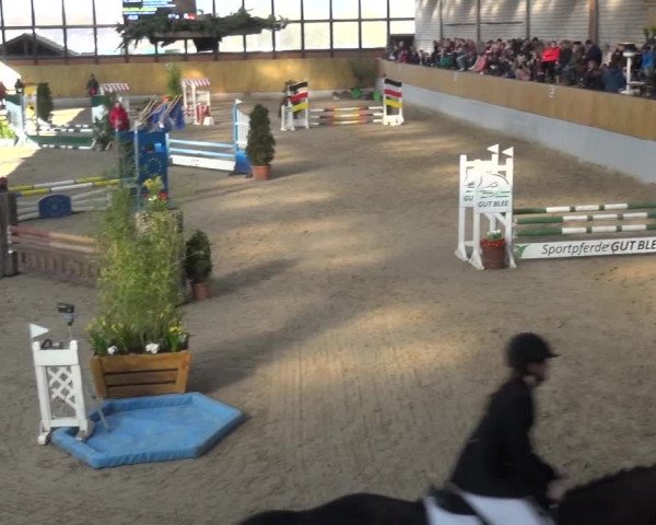 Reitturnier Monheim - Gut Blee 2020