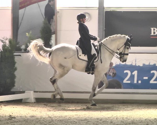 Reitturnier Karlsfeld/Obb. 2020