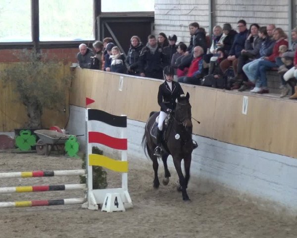 Reitturnier Monheim - Gut Blee 2020