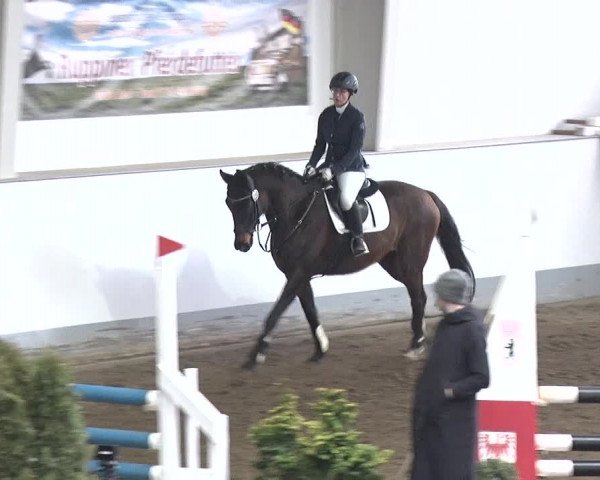 Reitturnier Münchehofe 2020