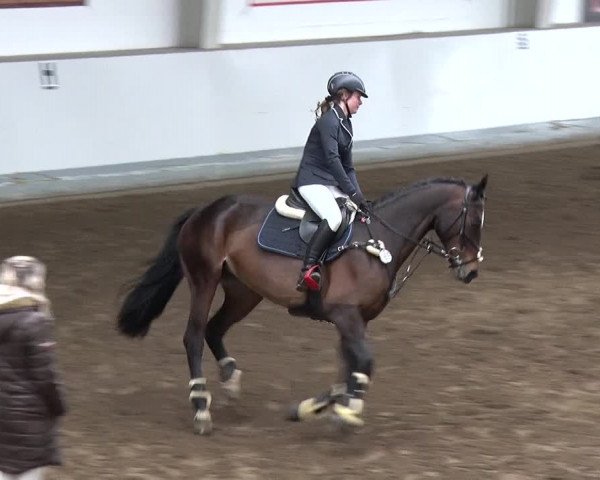 Reitturnier Münchehofe 2020