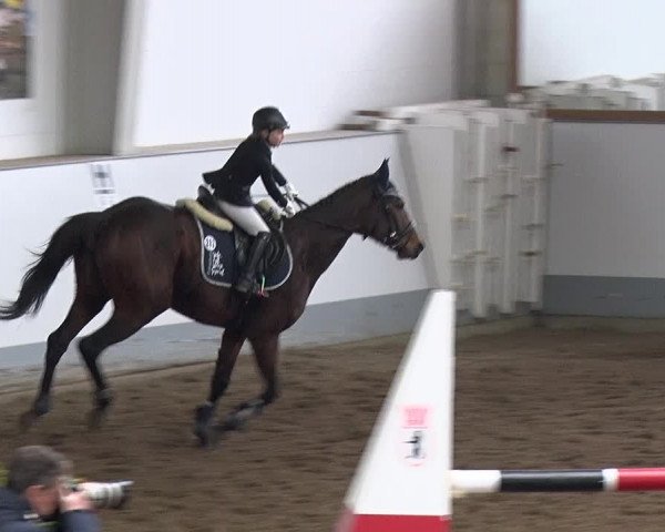 Reitturnier Münchehofe 2020