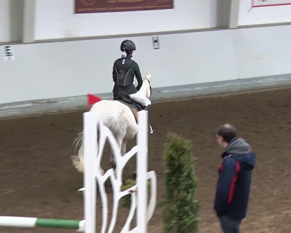 Reitturnier Münchehofe 2020