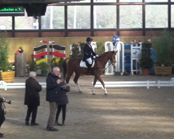 Reitturnier Monheim - Gut Blee 2020