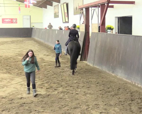 Reitturnier St. Peter Ording 2021