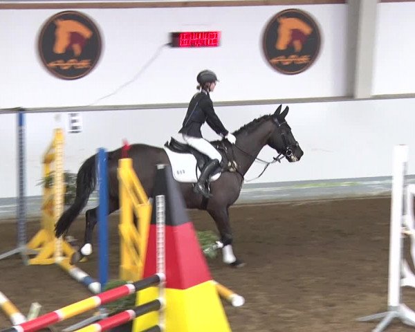Reitturnier Münchehofe 2020