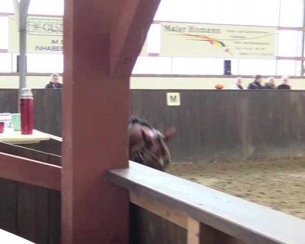 Reitturnier St. Peter Ording 2021