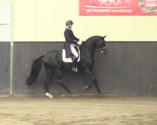 Reitturnier St. Peter Ording 2021
