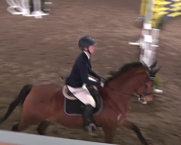 Reitturnier Münchehofe 2020