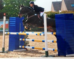 jumper Glückssache (Hanoverian, 2008, from Glueckspilz)