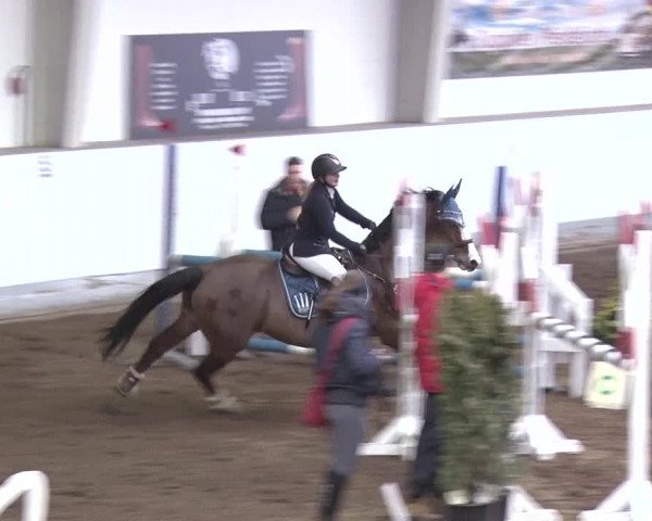 Reitturnier Münchehofe 2020