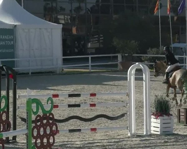 MET II Oliva - Woche 1 (ESP) 2020