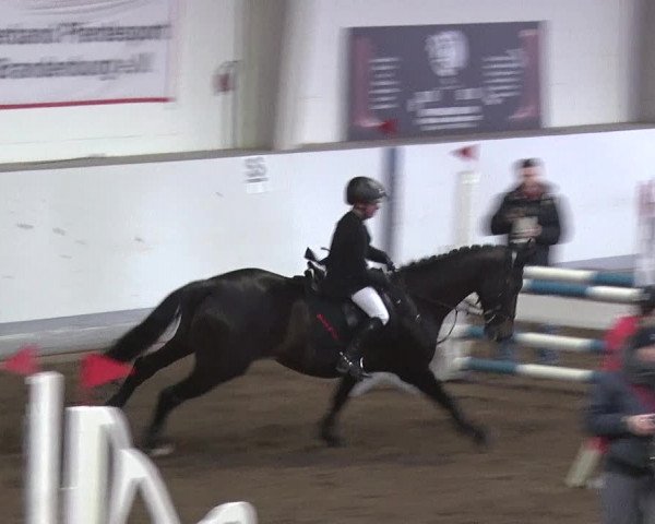 Reitturnier Münchehofe 2020