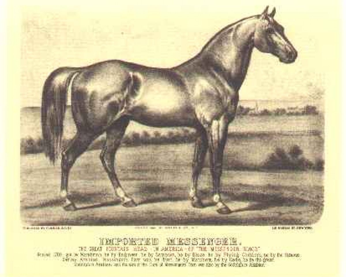 Stallone da monta Messenger xx (Purosangue Inglese, 1780, di Mambrino xx)