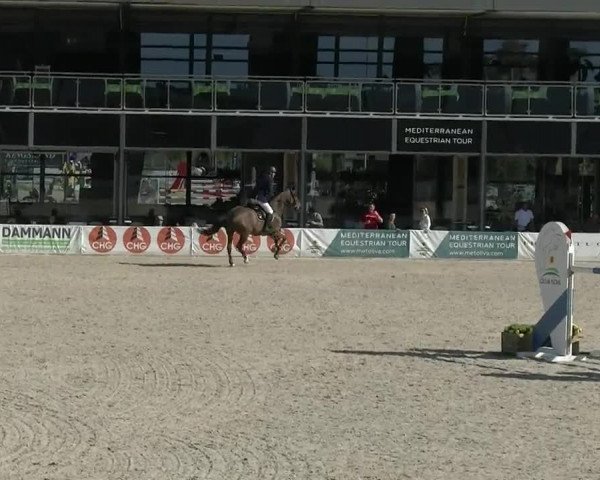 MET II Oliva - Woche 1 (ESP) 2020