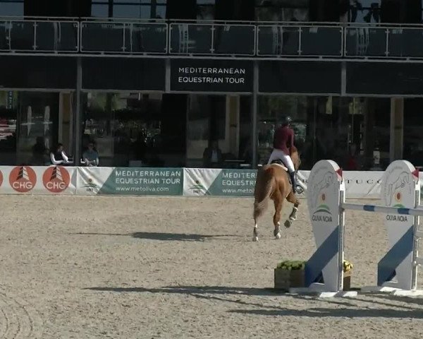 MET II Oliva - Woche 1 (ESP) 2020