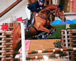 broodmare Quante F. (Holsteiner, 2009, from Quantum)