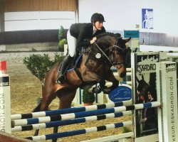 jumper Schlitzohr G (Hanoverian, 2010, from Campus 25)