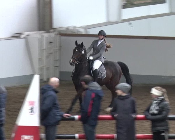 Reitturnier Münchehofe 2020