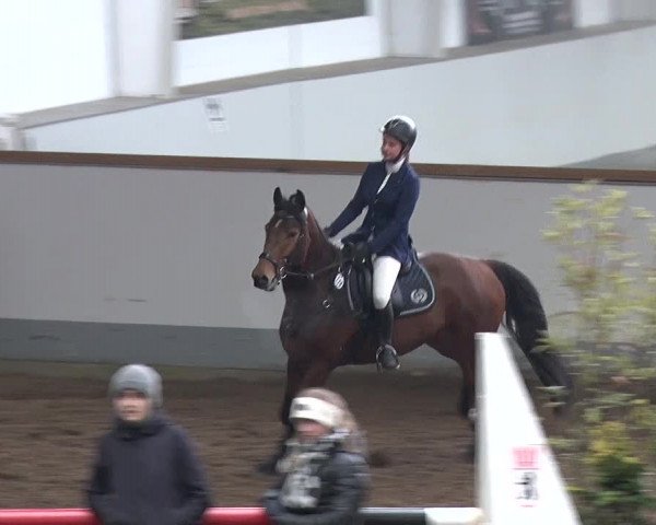 Reitturnier Münchehofe 2020