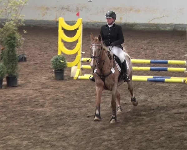 Reitturnier Münchehofe 2020